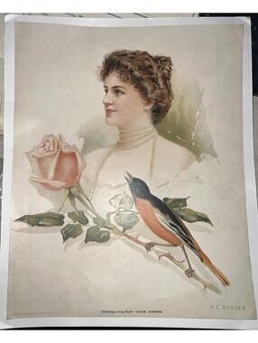 1903  VICTORIAN PRINT - American Song Birds - LILIAN NORDICA- KC Baking Powder